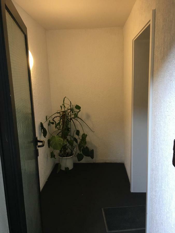 Ferienwohnung-Birlenbach エクステリア 写真
